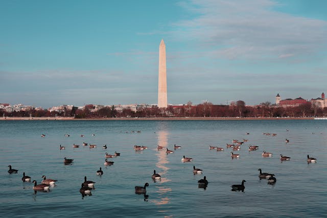 washington monument